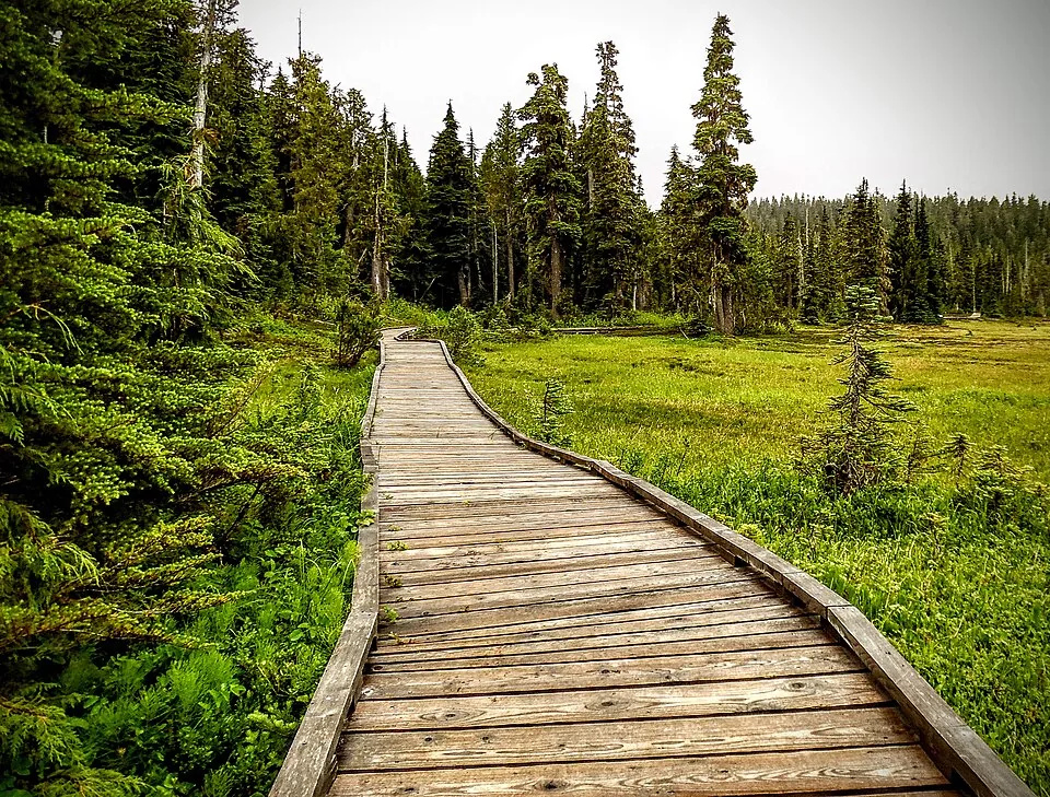 Boardwalk through Paradise Meadows in Strathcona Provincial Park