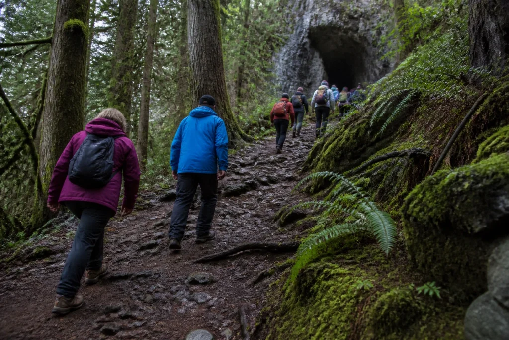 Forested uphill approach trail to Horne Lake Caves