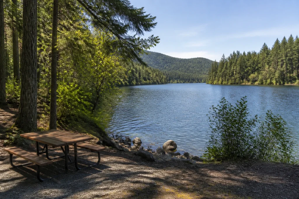 Lake and forest scenery at Horne Lake Regional Park