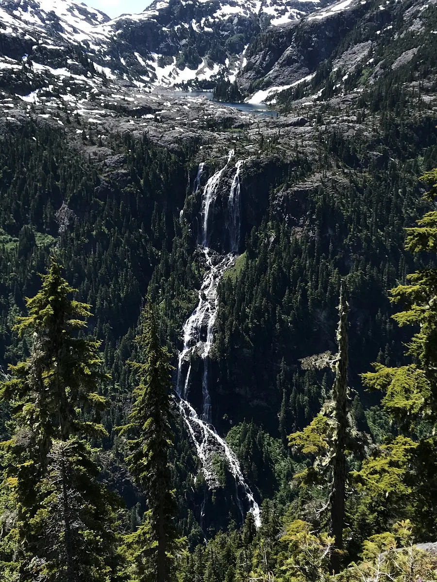 Della Falls descending through alpine forest in Strathcona Provincial Park
