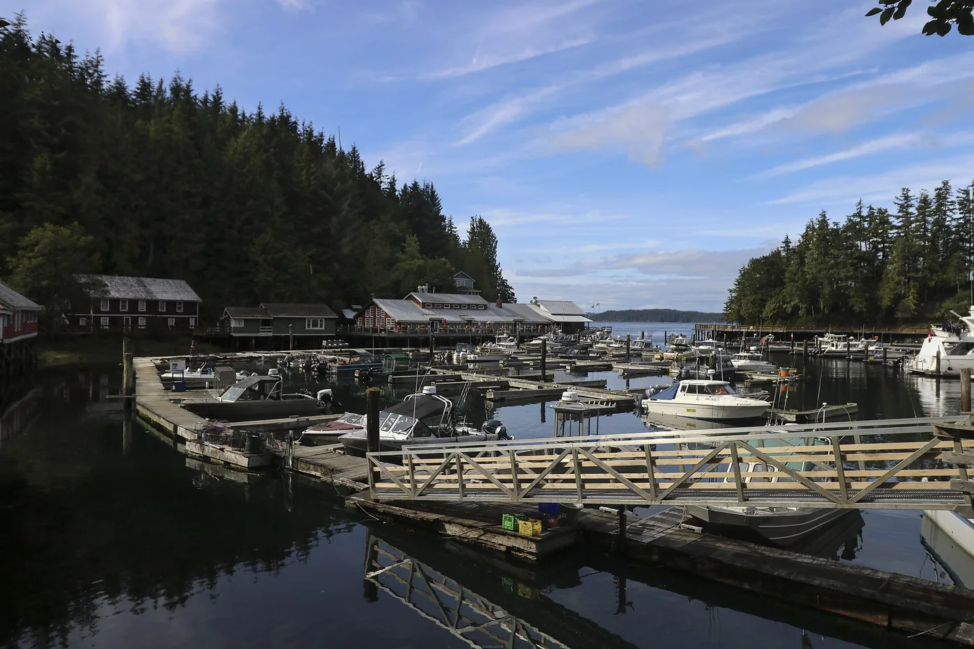 Marina and community at Telegraph Cove