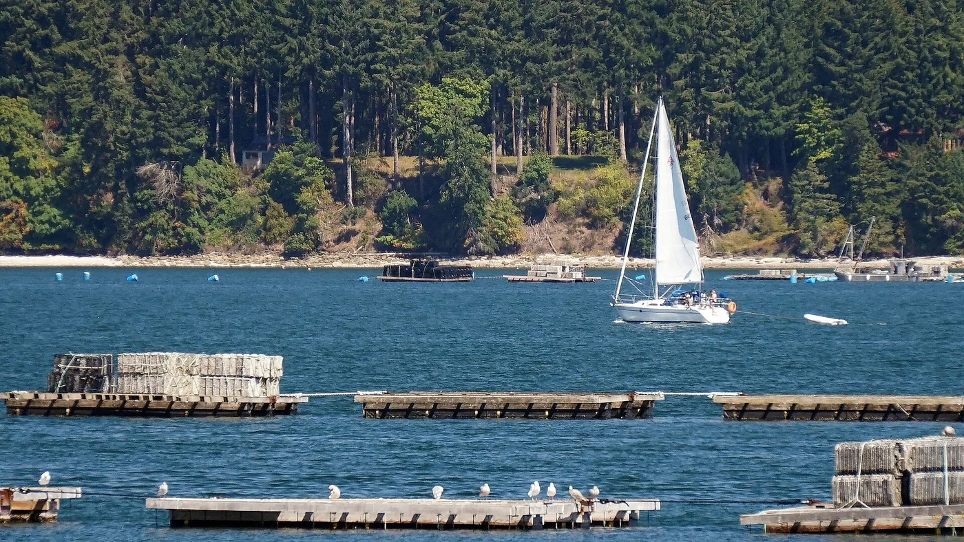 Sailboat and working water near Union Bay